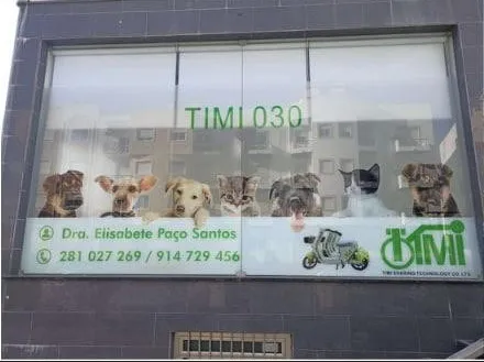 Espaço do parceiro Clínica Veterinária Dra. Elisabete P. Santos, em Vila Real de Santo António
